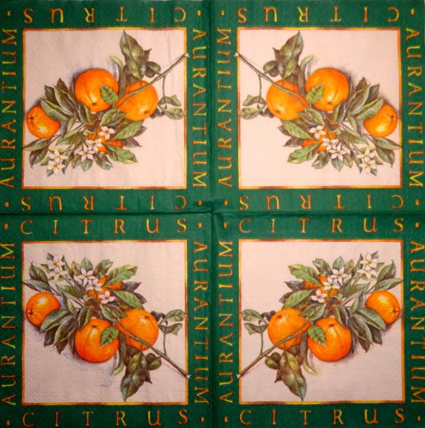 037 Lemons,  Oranges - 3-ply